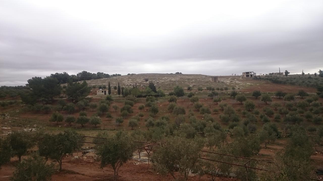 Town Of Mount Nebo Villa Medeba Dış mekan fotoğraf